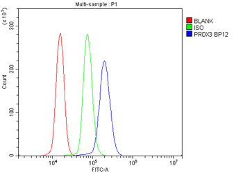Anti-Peroxiredoxin 3/PRDX3 Antibody