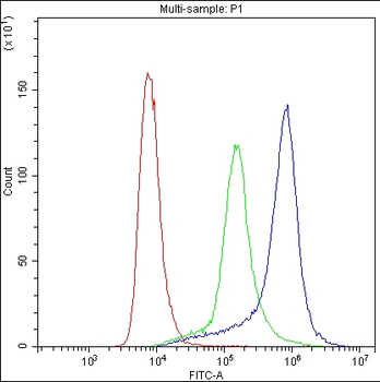 Anti-CD62P/SELP Antibody