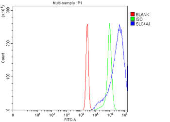 Anti-SLC4A1/CD233/Band 3 Antibody