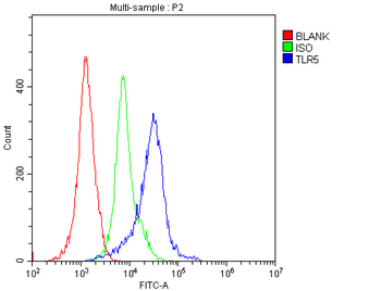 Anti-TLR5 Antibody