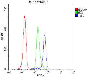Anti-TLR7 Antibody