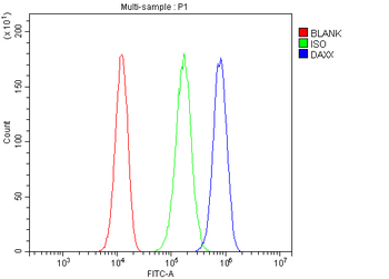 Anti-Daxx Antibody