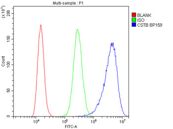 Anti-Stefin B/CSTB Antibody