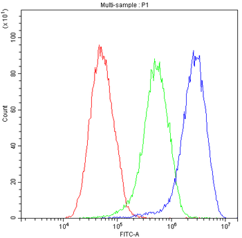 Anti-AHSG Antibody