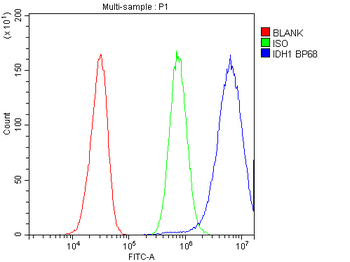 Anti-Isocitrate dehydrogenase/IDH1 Antibody