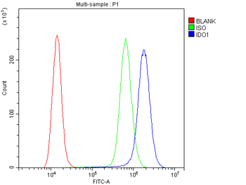 Anti-Indoleamine 2, 3-dioxygenase/IDO1 Antibody