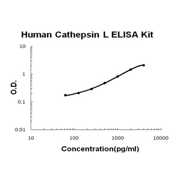 Human Cathepsin L ELISA Kit
