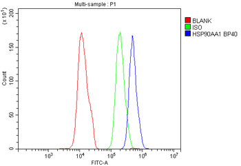 Anti-Hsp90 alpha/HSP90AA1 Antibody