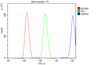 Anti-Hsp70/HSPA1A/HSPA1B Antibody