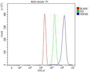 Anti-Grp75/HSPA9 Antibody