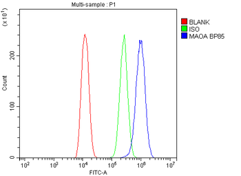 Anti-Monoamine Oxidase A/MAOA Antibody