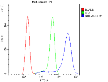 Anti-S100 alpha 6/S100A6 Antibody