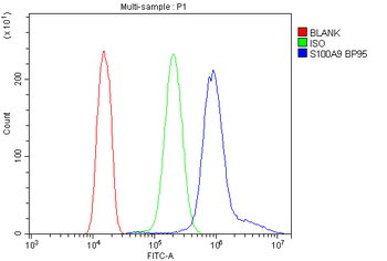 Anti-S100A9 Antibody