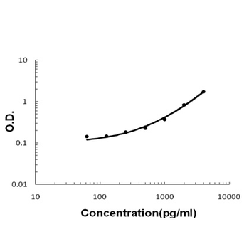 Anti-Lymphotactin/XCL1 Antibody