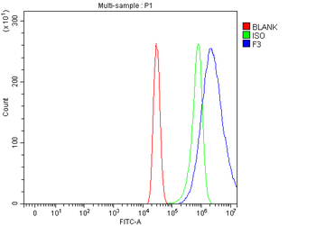 Anti-Tissue Factor/F3 Antibody