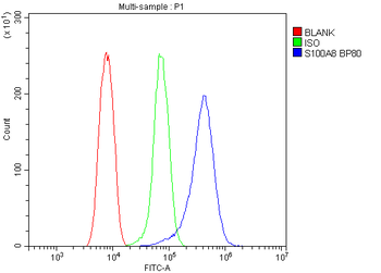 Anti-MRP8/S100A8 Antibody