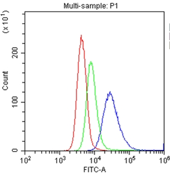 Anti-CD153/TNFSF8 Antibody
