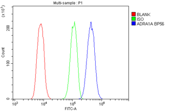 Anti-alpha 1d Adrenergic Receptor/ADRA1A Antibody