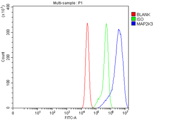 Anti-MEK3/MAP2K3 Antibody