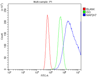 Anti-MEK7/MAP2K7 Antibody