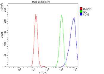 Anti-CD45/PTPRC Antibody