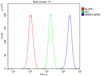 Anti-RbAp48/RBBP4 Antibody
