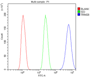 Anti-KAP1/TRIM28 Antibody