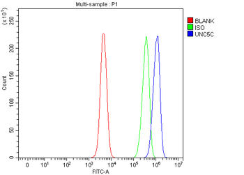 Anti-UNC5C Antibody