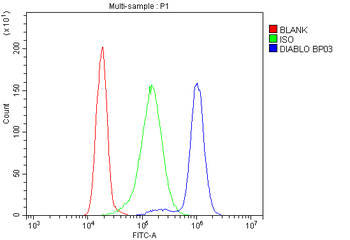 Anti-Smac/Diablo Antibody