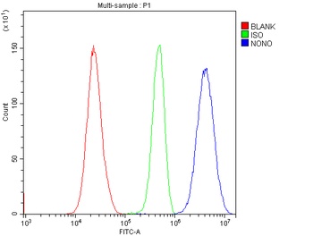 nmt55/p54nrb/NONO Antibody