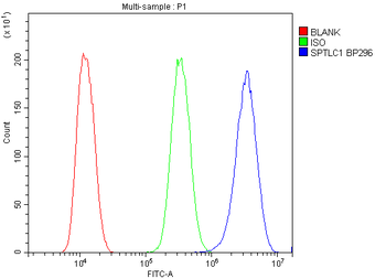 Anti-SPTLC1 Antibody
