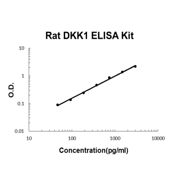 Rat DKK-1 ELISA Kit