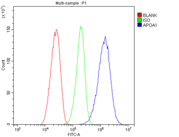 Anti-Apolipoprotein A I/APOA1 Antibody