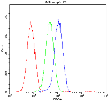 Anti-Osteocalcin/BGLAP Antibody