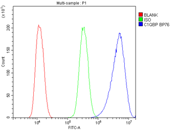 Anti-GC1q R/C1QBP Antibody