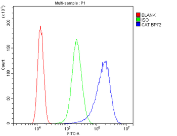 Anti-Catalase Antibody