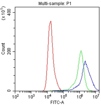 Anti-CD27 Antibody