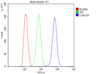 Anti-GAL4/LGALS4 Antibody