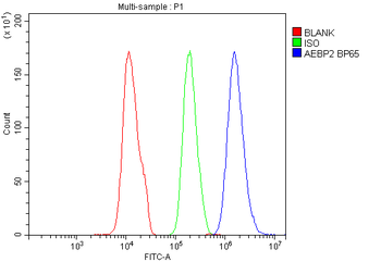 Anti-AEBP2 Antibody