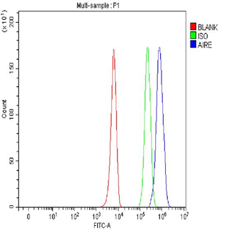 Anti-AIRE Antibody