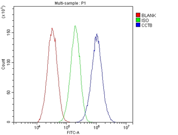 Anti-TCP1 theta/CCT8 Antibody