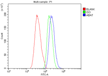 Anti-ABAT Antibody