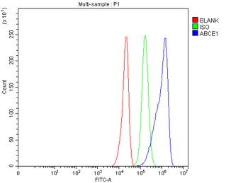 Anti-ABCE1 Antibody