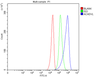 Anti-ACADVL Antibody