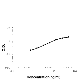 Anti-ADAMTS13 Antibody