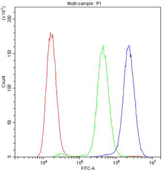 Anti-ADO Antibody