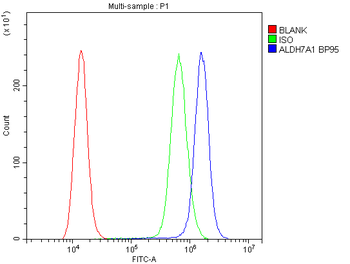 Anti-ALDH7A1 Antibody