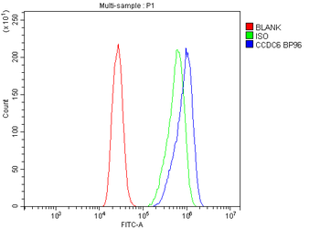 Anti-CCDC6 Antibody
