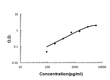 Anti-CXCL16 Antibody