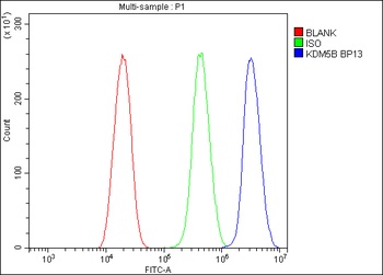KDM5B/PLU1/Jarid1B Antibody